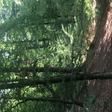 IMG 0710  Small - Scouts en Gidsen Zaventem 